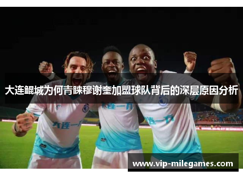 大连鲲城为何青睐穆谢奎加盟球队背后的深层原因分析