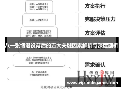 八一张博退役背后的五大关键因素解析与深度剖析