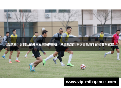 青岛海牛足球队前身与发展历程探析：从青岛海利丰到青岛海牛的蜕变与辉煌