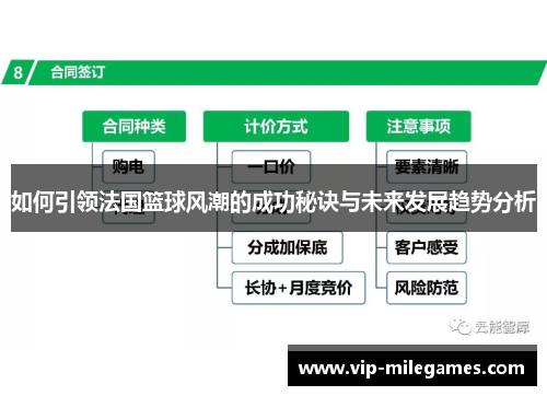 如何引领法国篮球风潮的成功秘诀与未来发展趋势分析